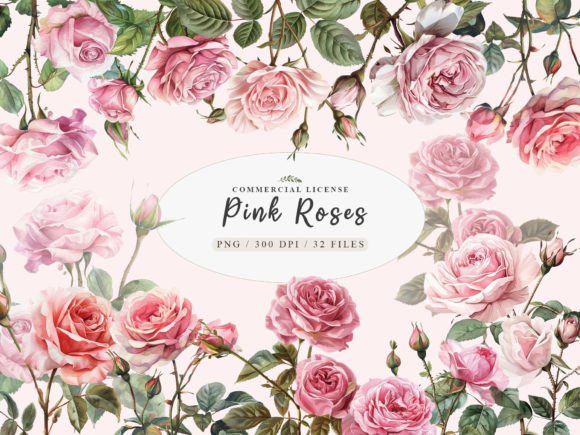 Download Watercolor Pink Rose Clipart, Blush Rose - Pink Collection